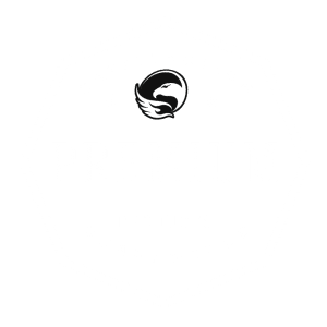 about-phirebird-bmx-products